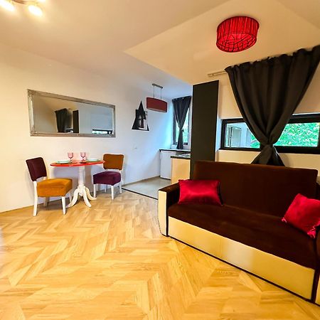 The Vintage - Wonderful Apartment In Best Location Craiova Exterior foto