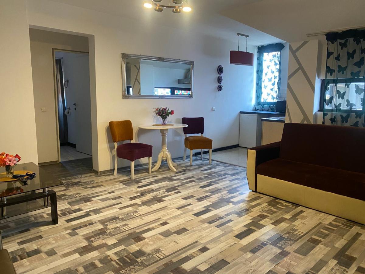 The Vintage - Wonderful Apartment In Best Location Craiova Exterior foto