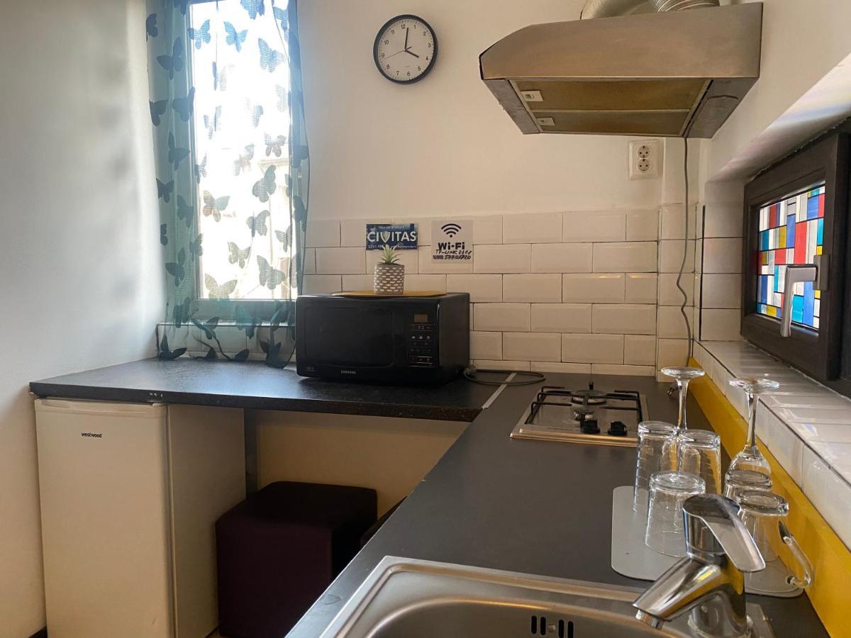 The Vintage - Wonderful Apartment In Best Location Craiova Exterior foto