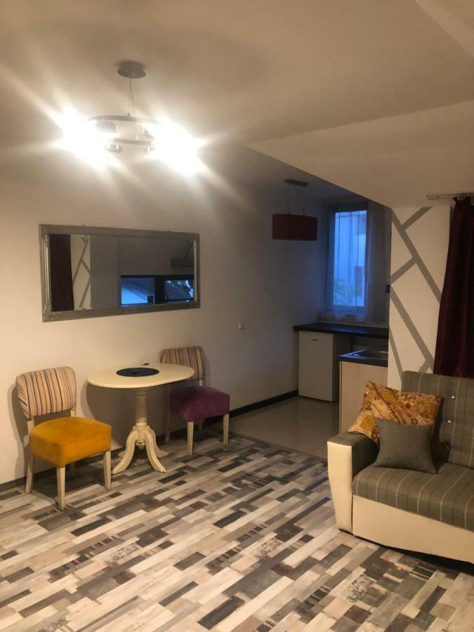 The Vintage - Wonderful Apartment In Best Location Craiova Exterior foto